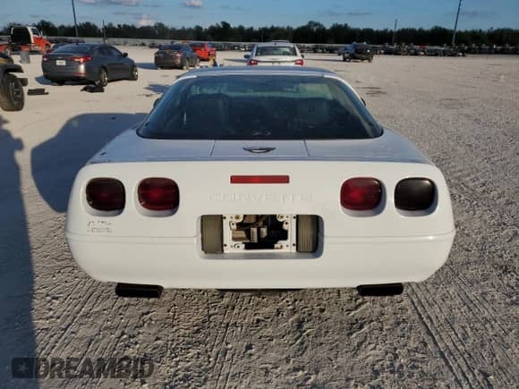 1993 Chevrolet Corvette z VIN 1G1YY23P8P5112521, wystawiony jako Copart lot #85591474 z przebiegiem 176 246 mil mil oraz Szkoda całkowita • Salvage title. Historia ofert i sprzedaży dostępna na DreamBid. Obrazek 6.