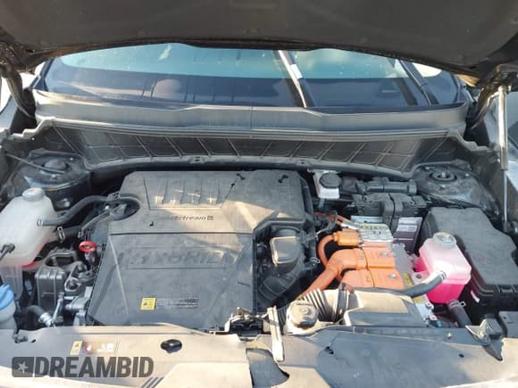 ✅ 2023 Kia Niro EX Touring • VIN: KNDCR3LE5P5068447 • Лот: 43491529. Опубликован ранее на IAAI с пробегом 33 117 миль. Бесплатный доступ к архиву аукционных продаж из США и подробный отчёт об истории автомобиля на DreamBid. Изображение 10.