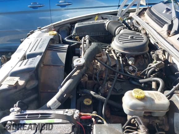 ✅ 2000 Dodge Dakota Sport • VIN: 1B7GL2AX0YS688465 • Lot: 41341012. Wystawiony na IAAI z przebiegiem 283 467 mil. Bezpłatny archiwum sprzedaży aukcyjnych z USA i szczegółowy raport historii pojazdu na DreamBid. Zdjęcie 10.