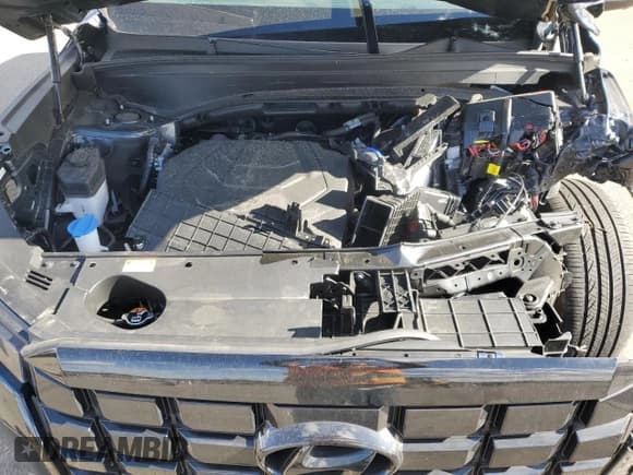 ✅ 2025 Hyundai Palisade SEL Premium • VIN: KM8R4DGE0SU829436 • Лот: 91175365. Опубликован ранее на Copart с пробегом 13 288 миль. Бесплатный доступ к архиву аукционных продаж из США и подробный отчёт об истории автомобиля на DreamBid. Изображение 12.