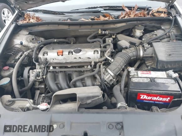 ✅ 2008 Honda Accord LX-P • VIN: 1HGCP26488A159113 • Lot: 43764783. Listed on IAAI with 322,233 mi. Free auction sales archive from the USA and detailed vehicle history report at DreamBid. Image 10.