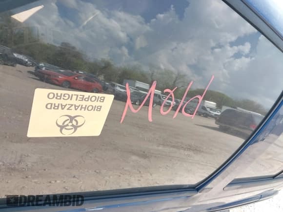 ✅ 1999 Chevrolet Blazer LS • VIN: 1GNCS13W1X2120019 • Lot: 41766379. Wystawiony na IAAI z przebiegiem Nie podano. Bezpłatny archiwum sprzedaży aukcyjnych z USA i szczegółowy raport historii pojazdu na DreamBid. Zdjęcie 11.