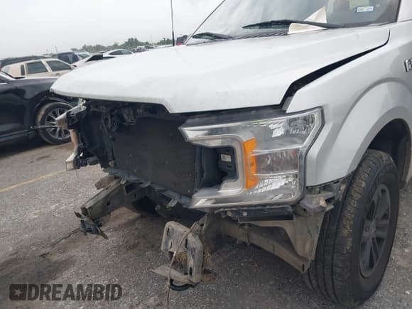 ✅ 2019 Ford F-150 XL • VIN: 1FTEW1E59KKD09004 • Lot: 42380234. Listed on IAAI with 213,526 mi. Free auction sales archive from the USA and detailed vehicle history report at DreamBid. Image 6.