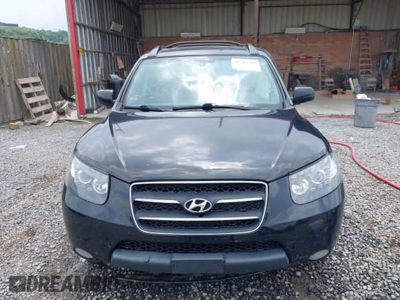 ✅ 2009 Hyundai Santa Fe SE • VIN: 5NMSH13E09H288324 • Lot: 42783569. Listed on IAAI with 251,737 mi. Free auction sales archive from the USA and detailed vehicle history report at DreamBid. Image 12.