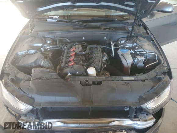 ✅ 2013 Audi A4 Premium • VIN: WAUDFAFL0DN026191 • Lot: 81868315. Listed on Copart with 80,774 mi. Free auction sales archive from the USA and detailed vehicle history report at DreamBid. Image 11.