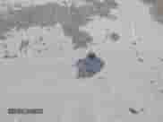 ✅ 2015 Chevrolet Equinox LT • VIN: 2GNFLFEK8F6225630 • Лот: 42851823. Опубликован ранее на IAAI с пробегом 66 300 миль. Бесплатный доступ к архиву аукционных продаж из США и подробный отчёт об истории автомобиля на DreamBid. Изображение 12.