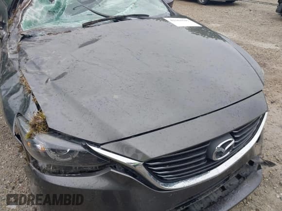 ✅ 2017 Mazda 6 Touring • VIN: JM1GL1V52H1114331 • Lot: 42364597. Wystawiony na IAAI z przebiegiem Nie podano. Bezpłatny archiwum sprzedaży aukcyjnych z USA i szczegółowy raport historii pojazdu na DreamBid. Zdjęcie 16.