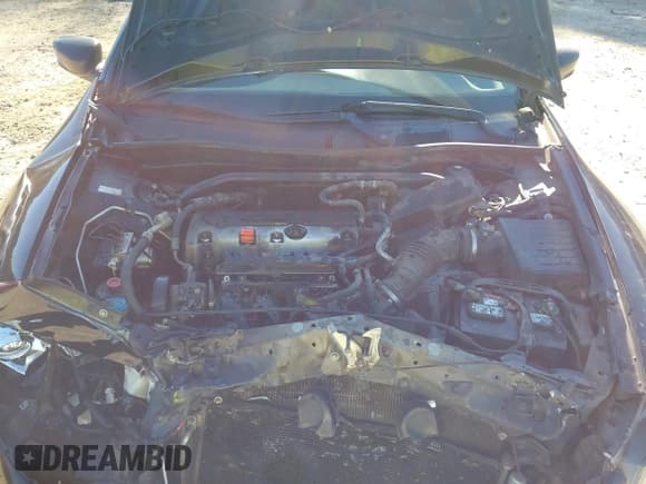 ✅ 2011 Honda Accord EX • VIN: 1HGCS1B70BA014275 • Лот: 43616780. Опубликован ранее на IAAI с пробегом 295 116 миль. Бесплатный доступ к архиву аукционных продаж из США и подробный отчёт об истории автомобиля на DreamBid. Изображение 10.