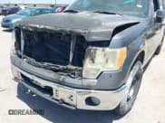 ✅ 2009 Ford F-150 XL • VIN: 1FTRW12849KB12364 • Лот: 42854336. Опубликован ранее на IAAI с пробегом Не указан. Бесплатный доступ к архиву аукционных продаж из США и подробный отчёт об истории автомобиля на DreamBid. Изображение 6.