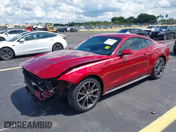 ✅ 2019 Ford Mustang EcoBoost • VIN: 1FA6P8TH8K5132814 • Lot: 43236618. Listed on IAAI with 54,965 mi. Free auction sales archive from the USA and detailed vehicle history report at DreamBid. Image 18.