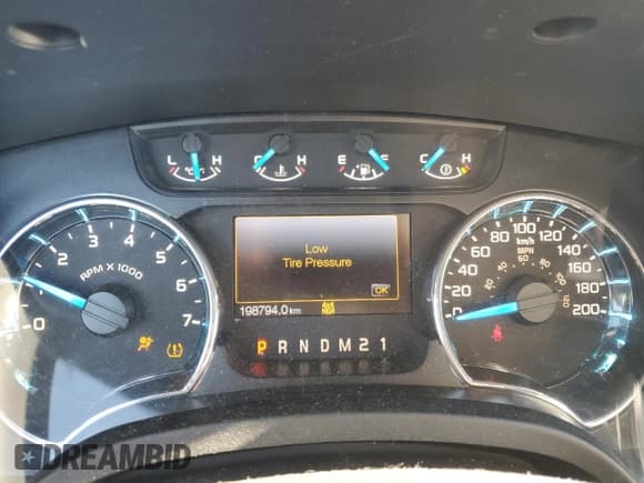 ✅ 2013 Ford F-150 XL • VIN: 1FTEX1EM0DFC07994 • Lot: 85668095. Listed on Copart with 198,794 mi. Free auction sales archive from the USA and detailed vehicle history report at DreamBid. Image 9.