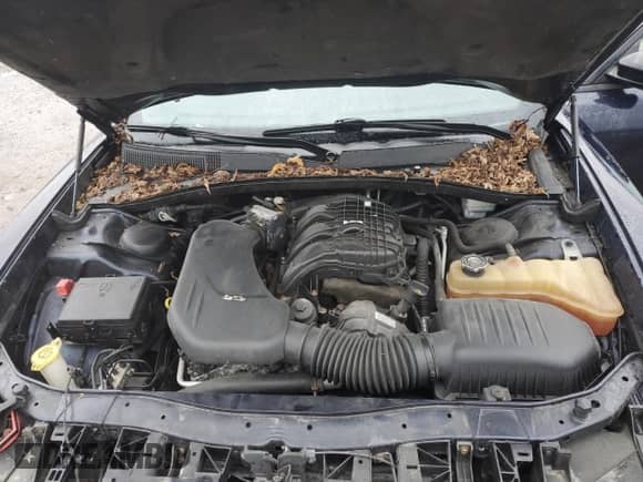 ✅ 2012 Dodge Charger SE • VIN: 2C3CDXBG3CH190126 • Lot: 90360825. Listed on Copart with 180,005 mi. Free auction sales archive from the USA and detailed vehicle history report at DreamBid. Image 11.