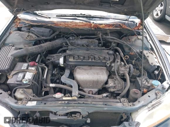 ✅ 2000 Honda Accord EX • VIN: JHMCG6605YC027660 • Lot: 42754950. Wystawiony na IAAI z przebiegiem 207 164 mil. Bezpłatny archiwum sprzedaży aukcyjnych z USA i szczegółowy raport historii pojazdu na DreamBid. Zdjęcie 10.