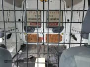 ✅ 2013 Ford Transit Connect XL • VIN: NM0LS7CN1DT129423 • Lot: 67001945. Listed on Copart with 156,436 mi. Free auction sales archive from the USA and detailed vehicle history report at DreamBid. Image 10.