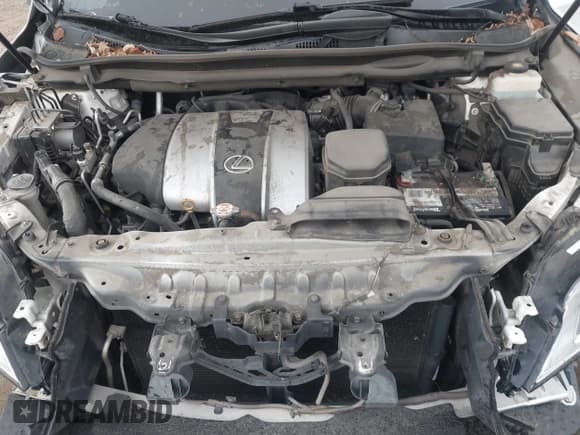 ✅ 2017 Lexus RX 350 • VIN: 2T2ZZMCA0HC063234 • Lot: 43433030. Listed on IAAI with 116,043 mi. Free auction sales archive from the USA and detailed vehicle history report at DreamBid. Image 10.