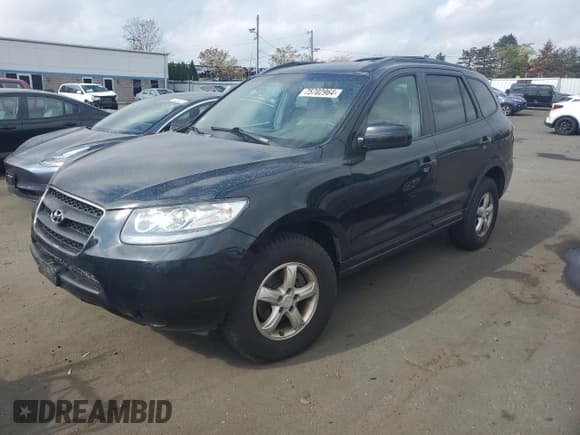 ✅ 2007 Hyundai Santa Fe GLS • VIN: 5NMSG13DX7H089787 • Lot: 75702964. Listed on Copart with 121,139 mi. Free auction sales archive from the USA and detailed vehicle history report at DreamBid. Image 1.