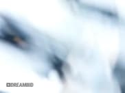 ✅ 2012 Ford Escape XLT • VIN: 1FMCU9D70CKB98340 • Лот: 42115122. Опубликован ранее на IAAI с пробегом 200 793 миль. Бесплатный доступ к архиву аукционных продаж из США и подробный отчёт об истории автомобиля на DreamBid. Изображение 12.