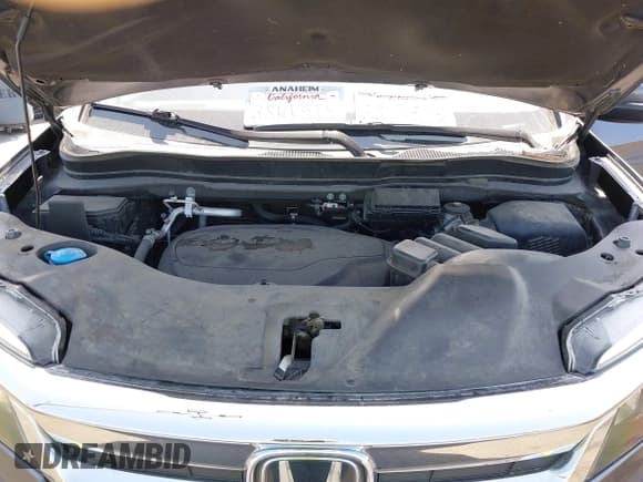 ✅ 2021 Honda Pilot EX • VIN: 5FNYF5H31MB004675 • Lot: 42562045. Wystawiony na IAAI z przebiegiem 83 050 mil. Bezpłatny archiwum sprzedaży aukcyjnych z USA i szczegółowy raport historii pojazdu na DreamBid. Zdjęcie 10.