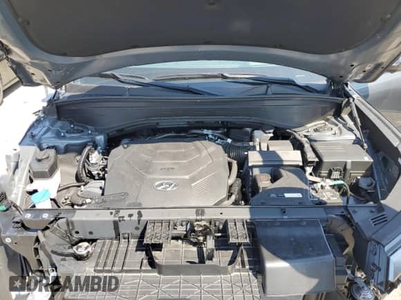 2025 Hyundai Palisade Calligraphy with VIN KM8R74GE9SU869943, listed as a Copart auction lot 54601985 with 4,207 mi miles and Salvage title. Bid and sale history available at DreamBid. Image 12.