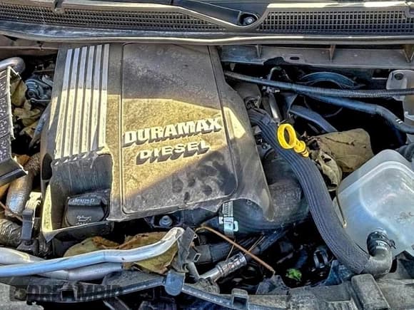 ✅ 2023 Chevrolet Silverado 1500 LT Trail Boss • VIN: 3GCUDFE85PG328124 • Lot: 97113325. Wystawiony na Copart z przebiegiem Nie podano. Bezpłatny archiwum sprzedaży aukcyjnych z USA i szczegółowy raport historii pojazdu na DreamBid. Zdjęcie 7.