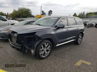 2020 Hyundai Palisade SEL с VIN KM8R3DHE7LU095087, выставлен на аукционе Copart как лот 71005845 с пробегом 56 501 миль миль и Списание • Salvage title. История ставок и продаж доступна на DreamBid. Изображение 1.