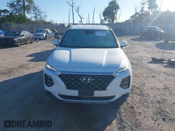 ✅ 2020 Hyundai Santa Fe SEL • VIN: 5NMS3CAD7LH278109 • Lot: 43118546. Listed on IAAI with 49,175 mi. Free auction sales archive from the USA and detailed vehicle history report at DreamBid. Image 12.