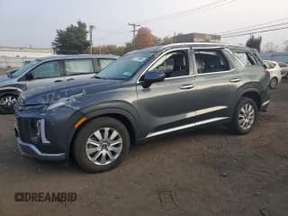 ✅ 2023 Hyundai Palisade SEL • VIN: KM8R2DGE1PU516392 • Лот: 77173904. Опубликован ранее на Copart с пробегом 25 660 миль. Бесплатный доступ к архиву аукционных продаж из США и подробный отчёт об истории автомобиля на DreamBid. Изображение 1.