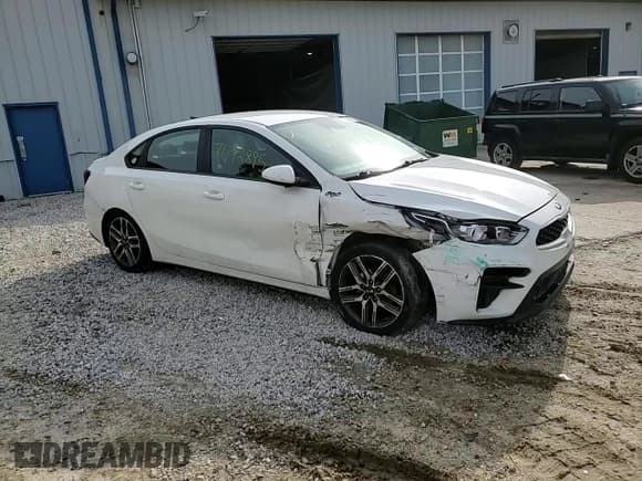 ✅ 2019 Kia Forte S • VIN: 3KPF34AD3KE117916 • Lot: 71792895. Listed on Copart with 126,459 mi. Free auction sales archive from the USA and detailed vehicle history report at DreamBid. Image 14.