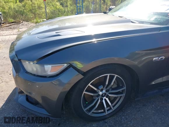 ✅ 2017 Ford Mustang GT Premium • VIN: 1FATP8FFXH5295034 • Лот: 41973926. Опубликован ранее на IAAI с пробегом 153 870 миль. Бесплатный доступ к архиву аукционных продаж из США и подробный отчёт об истории автомобиля на DreamBid. Изображение 18.