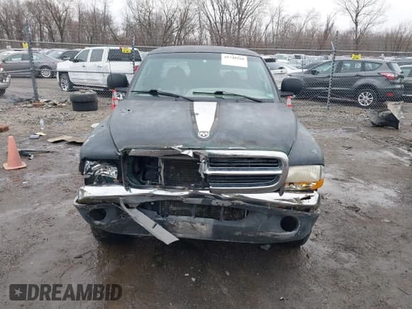 ✅ 2000 Dodge Dakota Sport • VIN: 1B7GG22N3YS539484 • Lot: 41748568. Wystawiony na IAAI z przebiegiem 290 117 mil. Bezpłatny archiwum sprzedaży aukcyjnych z USA i szczegółowy raport historii pojazdu na DreamBid. Zdjęcie 12.