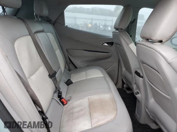 ✅ 2019 Chevrolet Bolt EV Premier • VIN: 1G1FZ6S09K4103373 • Lot: 42966545. Wystawiony na Copart z przebiegiem 254 675 mil. Bezpłatny archiwum sprzedaży aukcyjnych z USA i szczegółowy raport historii pojazdu na DreamBid. Zdjęcie 10.