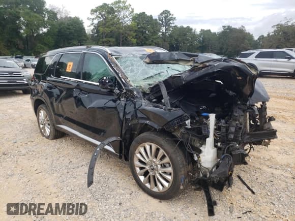 ✅ 2020 Hyundai Palisade Limited • VIN: KM8R54HE0LU145192 • Lot: 84267175. Listed on Copart with 123,235 mi. Free auction sales archive from the USA and detailed vehicle history report at DreamBid. Image 4.