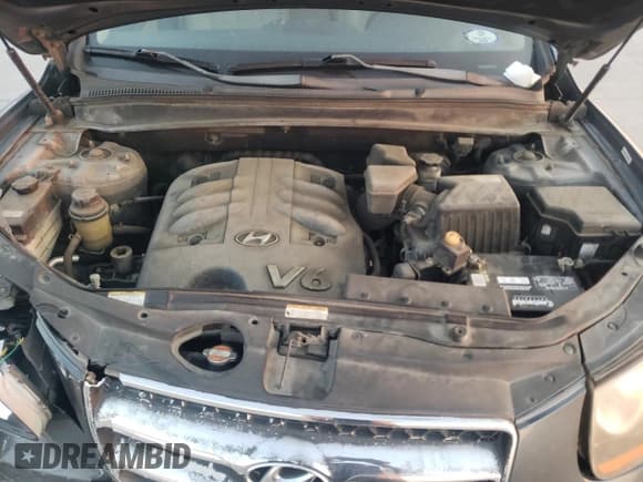 ✅ 2008 Hyundai Santa Fe SE • VIN: 5NMSH13E98H142342 • Lot: 75706114. Listed on Copart with 235,105 mi. Free auction sales archive from the USA and detailed vehicle history report at DreamBid. Image 12.