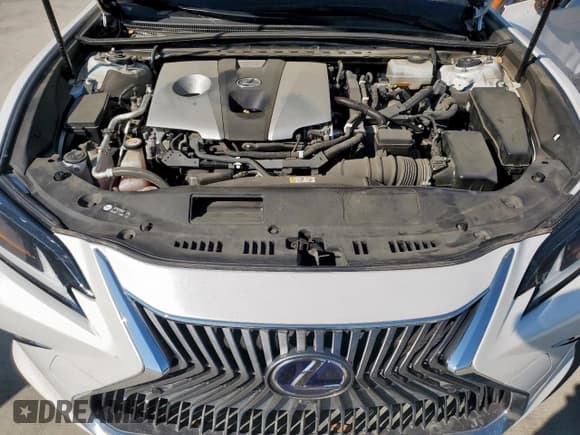 ✅ 2019 Lexus ES 300h • VIN: JTHB21B1XK2025282 • Lot: 80387725. Listed on Copart with 43,112 mi. Free auction sales archive from the USA and detailed vehicle history report at DreamBid. Image 11.