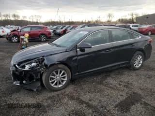 ✅ 2018 Hyundai Sonata SE • VIN: 5NPE24AF4JH703518 • Лот: 71933852. Опубликован ранее на Copart с пробегом 81 115 миль. Бесплатный доступ к архиву аукционных продаж из США и подробный отчёт об истории автомобиля на DreamBid. Изображение 1.