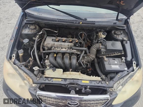 ✅ 2008 Toyota Corolla LE • VIN: 2T1BR32E98C932496 • Lot: 92118785. Listed on Copart with 299,999 mi. Free auction sales archive from the USA and detailed vehicle history report at DreamBid. Image 11.