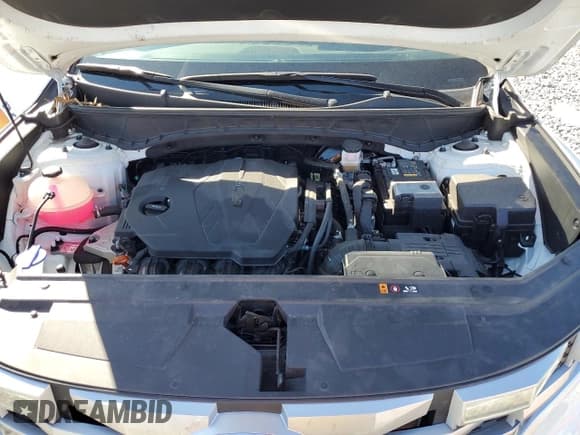 ✅ 2024 Hyundai Santa Cruz SEL • VIN: 5NTJB4AEXRH100477 • Lot: 87488495. Listed on Copart with 21,315 mi. Free auction sales archive from the USA and detailed vehicle history report at DreamBid. Image 11.