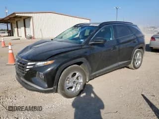 ✅ 2024 Hyundai Tucson SEL • VIN: 5NMJB3DE2RH391364 • Lot: 86642645. Listed on Copart with 37,005 mi. Free auction sales archive from the USA and detailed vehicle history report at DreamBid. Image 1.