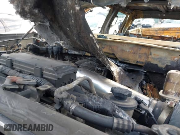 ✅ 2009 Ford F-150 XL • VIN: 1FTRW14899FB19199 • Lot: 42623427. Listed on IAAI with Not provided. Free auction sales archive from the USA and detailed vehicle history report at DreamBid. Image 10.