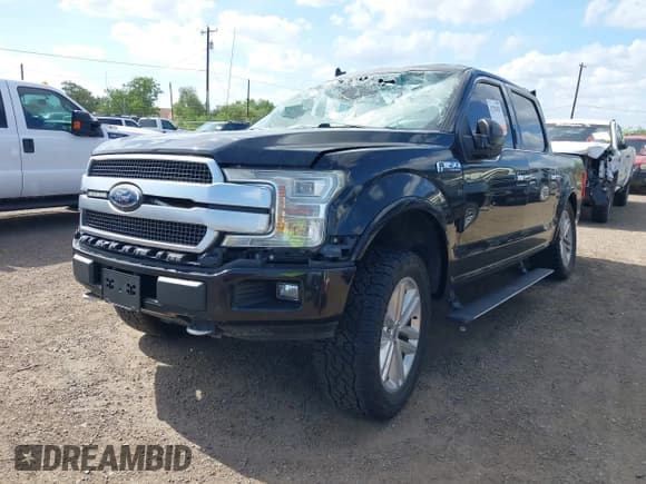 ✅ 2019 Ford F-150 XL • VIN: 1FTEW1E48KFB95626 • Lot: 42702825. Listed on IAAI with Not provided. Free auction sales archive from the USA and detailed vehicle history report at DreamBid. Image 2.