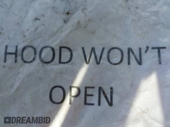 1999 BMW 3 Series 323i с VIN WBAAM3335XFP50739, выставлен на аукционе IAAI как лот 43147373 с пробегом Не указан миль и . История ставок и продаж доступна на DreamBid. Изображение 10.