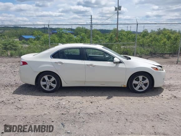 ✅ 2009 Acura TSX • VIN: JH4CU26639C035053 • Lot: 42302125. Listed on IAAI with 125,316 mi. Free auction sales archive from the USA and detailed vehicle history report at DreamBid. Image 13.