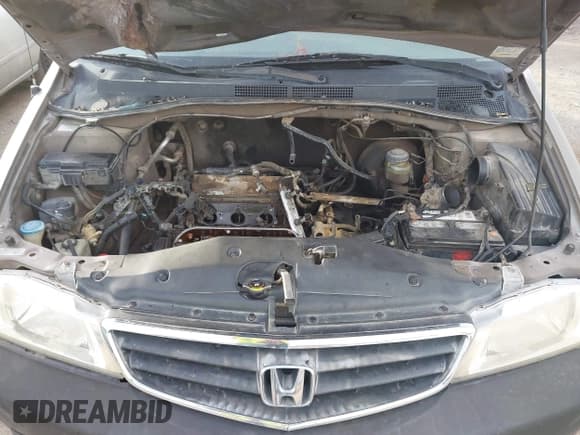 ✅ 2003 Honda Odyssey EX-L • VIN: 5FNRL18073B079942 • Lot: 43732253. Wystawiony na IAAI z przebiegiem 377 399 mil. Bezpłatny archiwum sprzedaży aukcyjnych z USA i szczegółowy raport historii pojazdu na DreamBid. Zdjęcie 10.