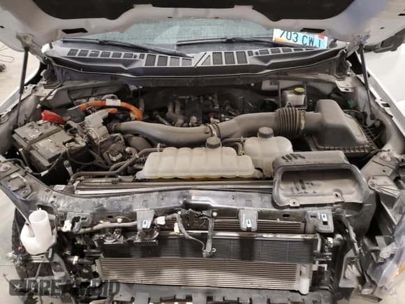 ✅ 2024 Ford F-150 XLT • VIN: 1FTFW3LDXRFA15334 • Lot: 71363885. Wystawiony na Copart z przebiegiem 17 514 mil. Bezpłatny archiwum sprzedaży aukcyjnych z USA i szczegółowy raport historii pojazdu na DreamBid. Zdjęcie 11.