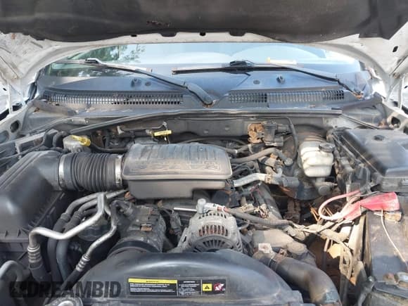 ✅ 2005 Dodge Dakota SLT • VIN: 1D7HW48N95S287753 • Lot: 42806103. Listed on IAAI with 166,000 mi. Free auction sales archive from the USA and detailed vehicle history report at DreamBid. Image 10.