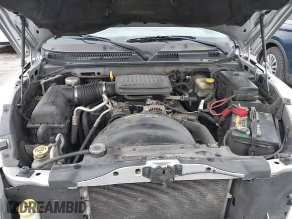 2007 Dodge Dakota SLT with VIN 1D7HW48K77S129162, listed as a IAAI auction lot 41842077 with 186,172 mi miles and . Bid and sale history available at DreamBid. Image 10.