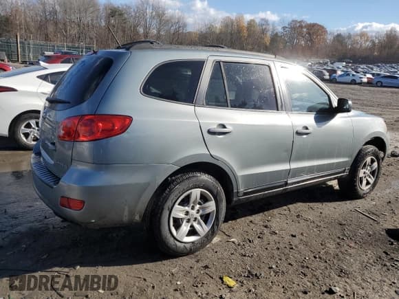 ✅ 2009 Hyundai Santa Fe GLS • VIN: 5NMSG13D89H253136 • Lot: 78839544. Listed on Copart with 130,957 mi. Free auction sales archive from the USA and detailed vehicle history report at DreamBid. Image 3.