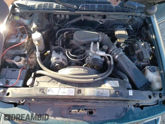 ✅ 1997 Chevrolet Blazer LS • VIN: 1GNDT13WXV2245874 • Lot: 41433485. Wystawiony na Copart z przebiegiem 166 564 mil. Bezpłatny archiwum sprzedaży aukcyjnych z USA i szczegółowy raport historii pojazdu na DreamBid. Zdjęcie 12.