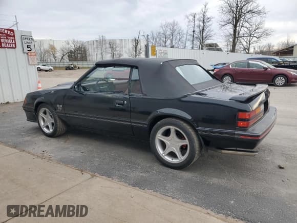 ✅ 1983 Ford Mustang GT • VIN: 1FABP27F0DF213498 • Lot: 81106344. Wystawiony na Copart z przebiegiem 13 008 mil. Bezpłatny archiwum sprzedaży aukcyjnych z USA i szczegółowy raport historii pojazdu na DreamBid. Zdjęcie 2.