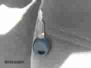 2004 Hyundai Sonata GLS с VIN KMHWF35H94A996905, выставлен на аукционе IAAI как лот 42070412 с пробегом 180 884 миль миль и . История ставок и продаж доступна на DreamBid. Изображение 11.